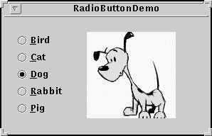A snapshot of RadioButtonDemo